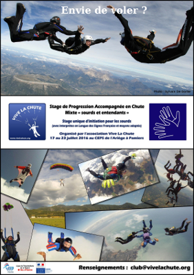 Flyer Mini 2016